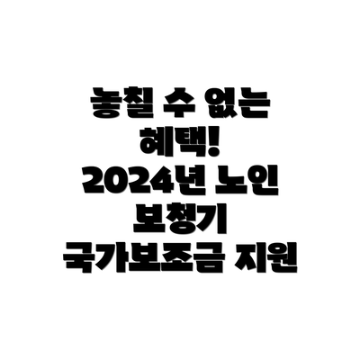 놓칠 수 없는 혜택!  2024년 노인 보청기 국가보조금 지원