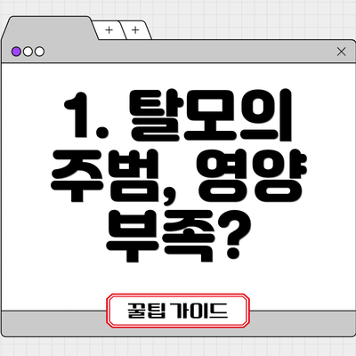 1. 탈모의 주범, 영양 부족?