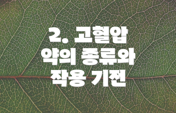 2. 고혈압 약의 종류와 작용 기전