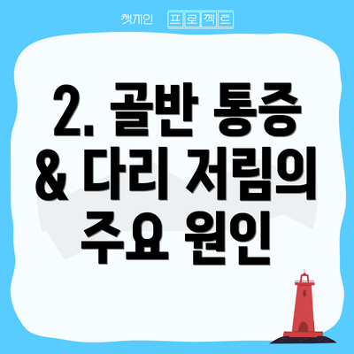 2. 골반 통증 & 다리 저림의 주요 원인
