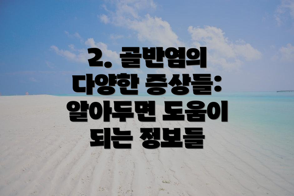 2. 골반염의 다양한 증상들: 알아두면 도움이 되는 정보들