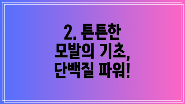 2. 튼튼한 모발의 기초, 단백질 파워!