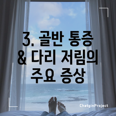 3. 골반 통증 & 다리 저림의 주요 증상