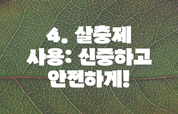 4. 살충제 사용: 신중하고 안전하게!