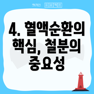 4. 혈액순환의 핵심, 철분의 중요성