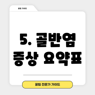 5. 골반염 증상 요약표