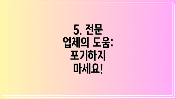 5. 전문 업체의 도움: 포기하지 마세요!