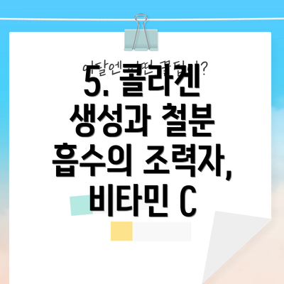 5. 콜라겐 생성과 철분 흡수의 조력자, 비타민 C