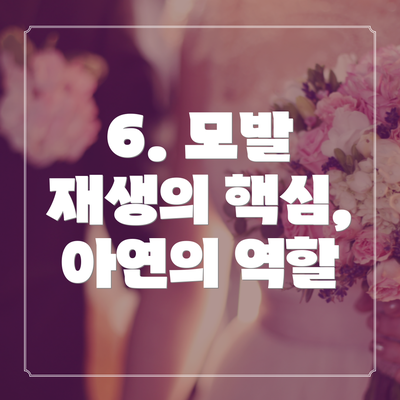 6. 모발 재생의 핵심, 아연의 역할