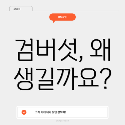 검버섯, 왜 생길까요?