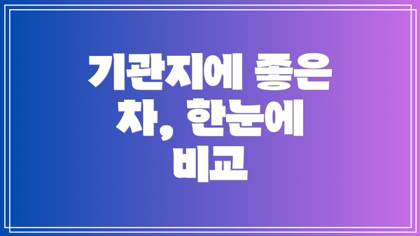 기관지에 좋은 차, 한눈에 비교