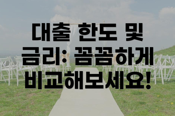 대출 한도 및 금리: 꼼꼼하게 비교해보세요!
