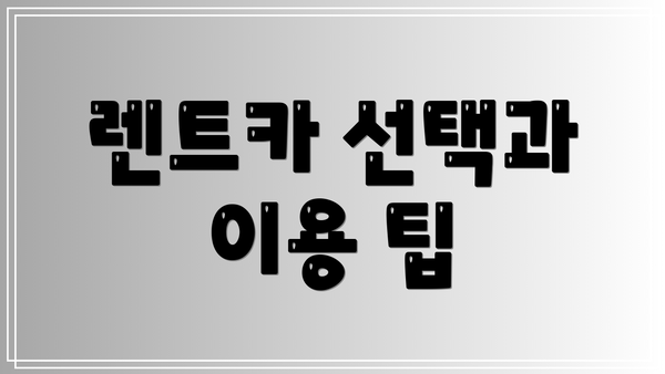 렌트카 선택과 이용 팁