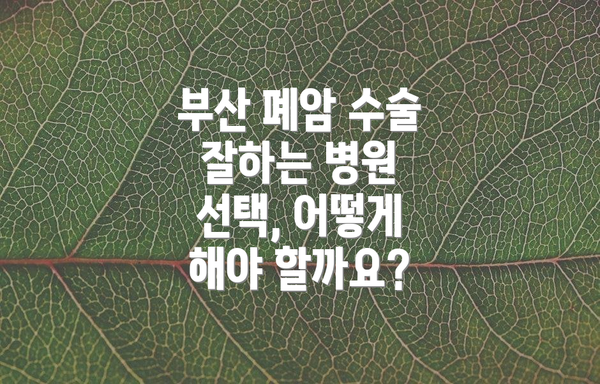 부산 폐암 수술 잘하는 병원 선택, 어떻게 해야 할까요?
