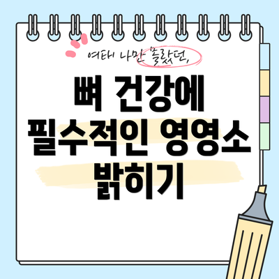 뼈 건강에 필수적인 영영소 밝히기