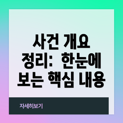 사건 개요 정리:  한눈에 보는 핵심 내용
