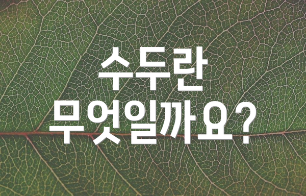 수두란 무엇일까요?