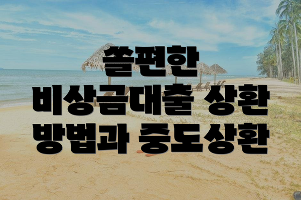 쏠편한 비상금대출 상환 방법과 중도상환