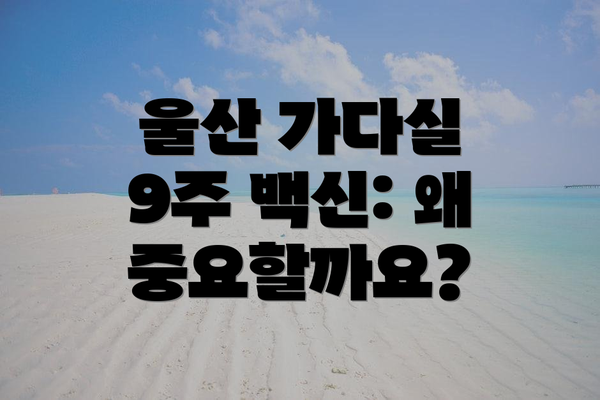 울산 가다실 9주 백신: 왜 중요할까요?