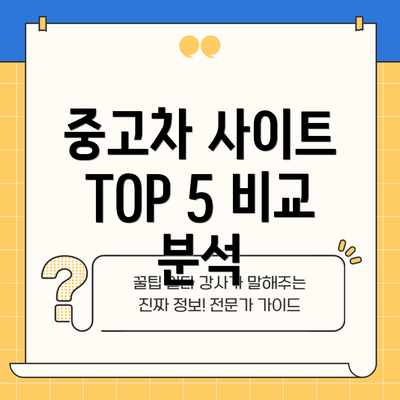 중고차 사이트 TOP 5 비교 분석