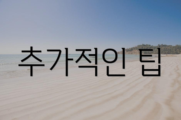 추가적인 팁