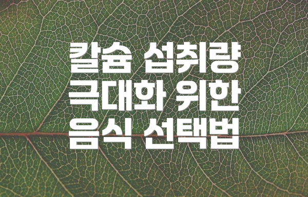 칼슘 섭취량 극대화 위한 음식 선택법