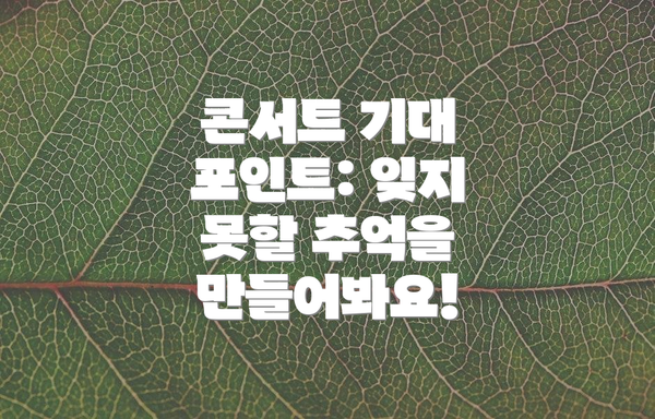 콘서트 기대 포인트: 잊지 못할 추억을 만들어봐요!