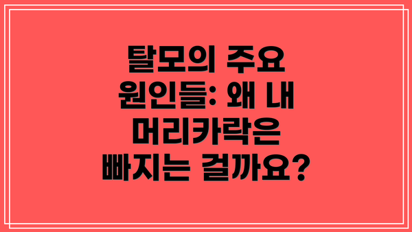 탈모의 주요 원인들: 왜 내 머리카락은 빠지는 걸까요?