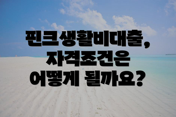 핀크생활비대출,  자격조건은 어떻게 될까요?