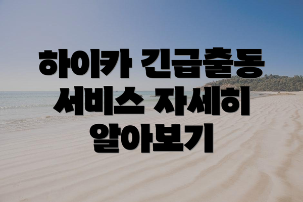 하이카 긴급출동 서비스 자세히 알아보기