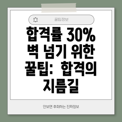 합격률 30% 벽 넘기 위한 꿀팁:  합격의 지름길