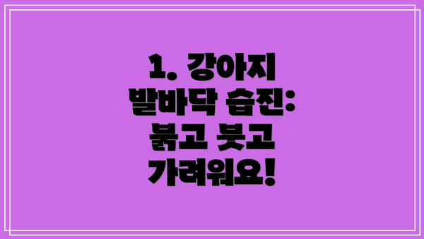 1. 강아지 발바닥 습진: 붉고 붓고 가려워요!