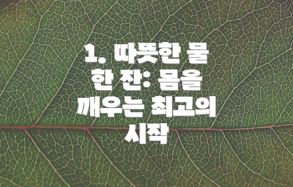 1. 따뜻한 물 한 잔: 몸을 깨우는 최고의 시작