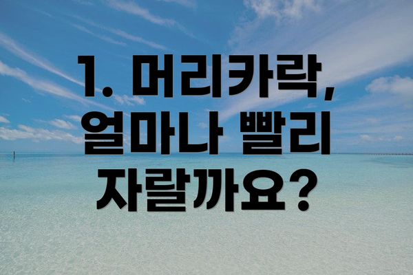 1. 머리카락, 얼마나 빨리 자랄까요?