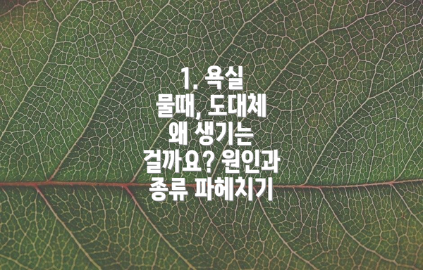 1. 욕실 물때, 도대체 왜 생기는 걸까요? 원인과 종류 파헤치기