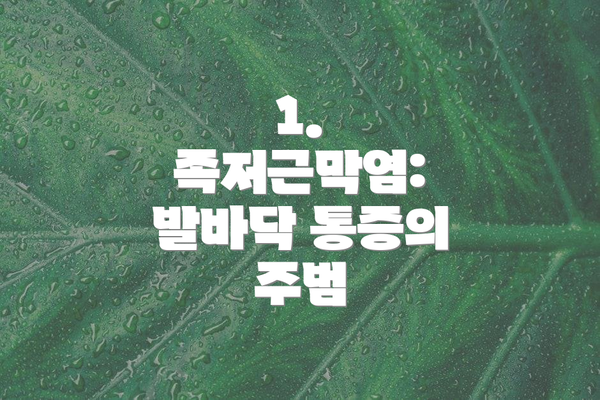 1. 족저근막염: 발바닥 통증의 주범