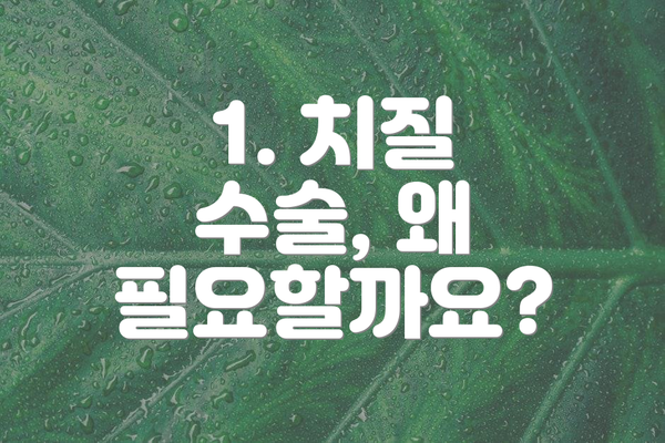 1. 치질 수술, 왜 필요할까요?