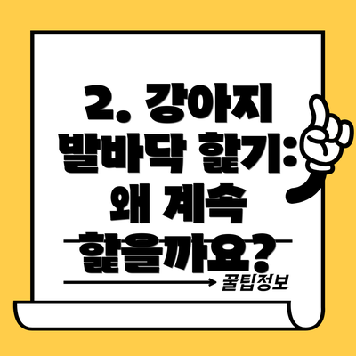 2. 강아지 발바닥 핥기: 왜 계속 핥을까요?