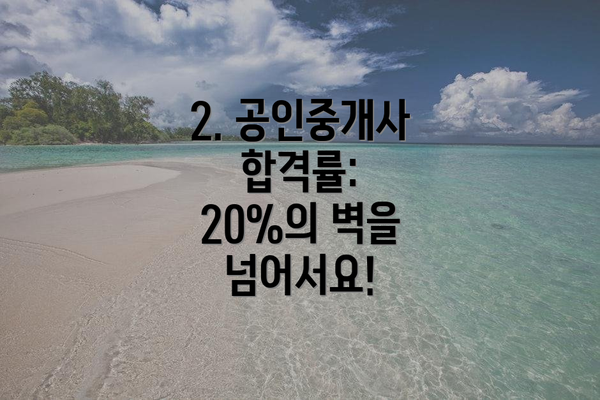 2. 공인중개사 합격률:  20%의 벽을 넘어서요!