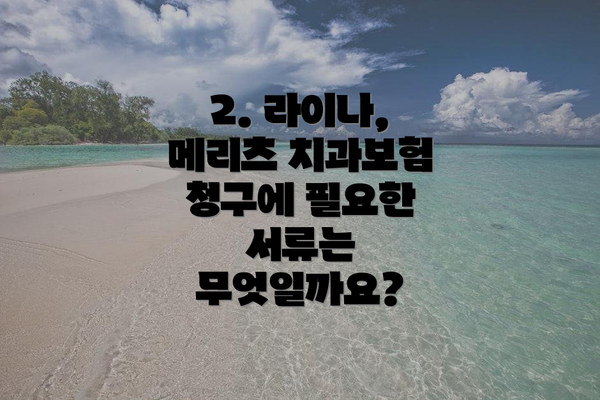2. 라이나, 메리츠 치과보험 청구에 필요한 서류는 무엇일까요?