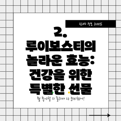 2. 루이보스티의 놀라운 효능: 건강을 위한 특별한 선물