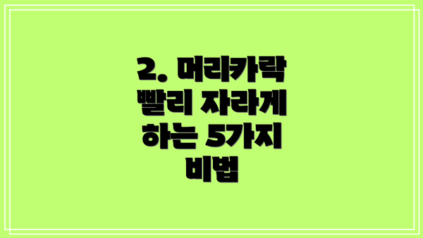 2. 머리카락 빨리 자라게 하는 5가지 비법