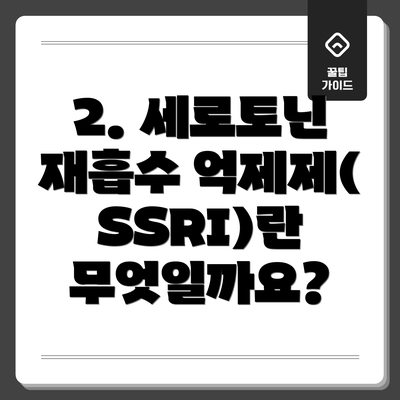 2. 세로토닌 재흡수 억제제(SSRI)란 무엇일까요?