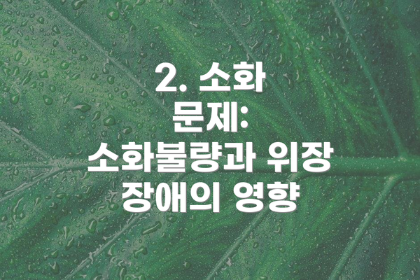 2. 소화 문제: 소화불량과 위장 장애의 영향