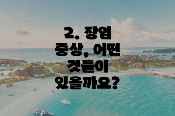 2. 장염 증상, 어떤 것들이 있을까요?