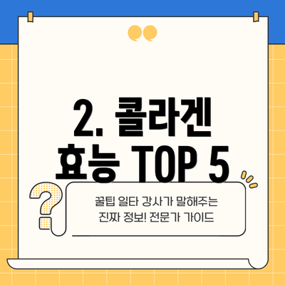 2. 콜라겐 효능 TOP 5