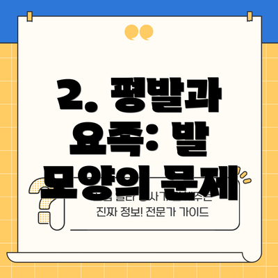 2. 평발과 요족: 발 모양의 문제