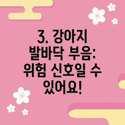 3. 강아지 발바닥 부음: 위험 신호일 수 있어요!