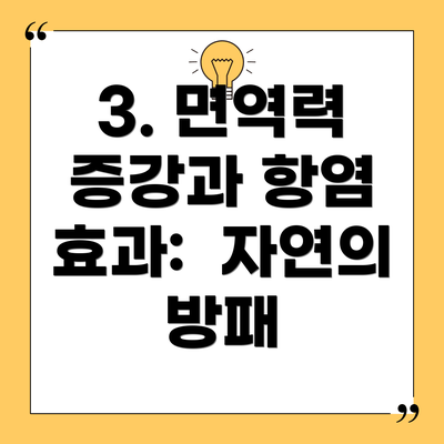3. 면역력 증강과 항염 효과:  자연의 방패
