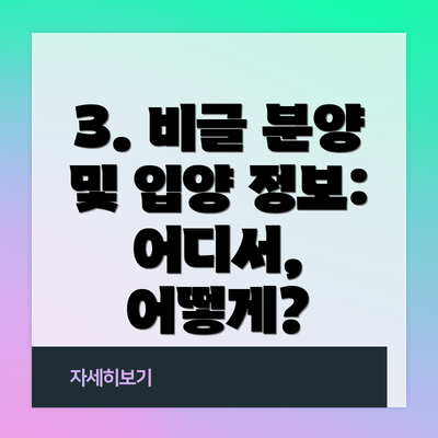 3. 비글 분양 및 입양 정보: 어디서, 어떻게?